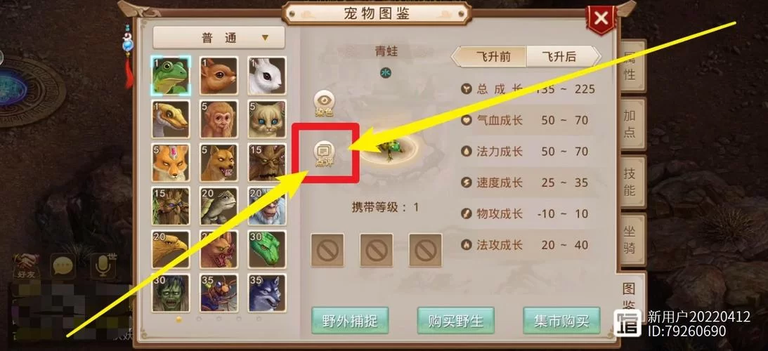 问道手游宠物飞升步骤：轻松完成宠物飞升