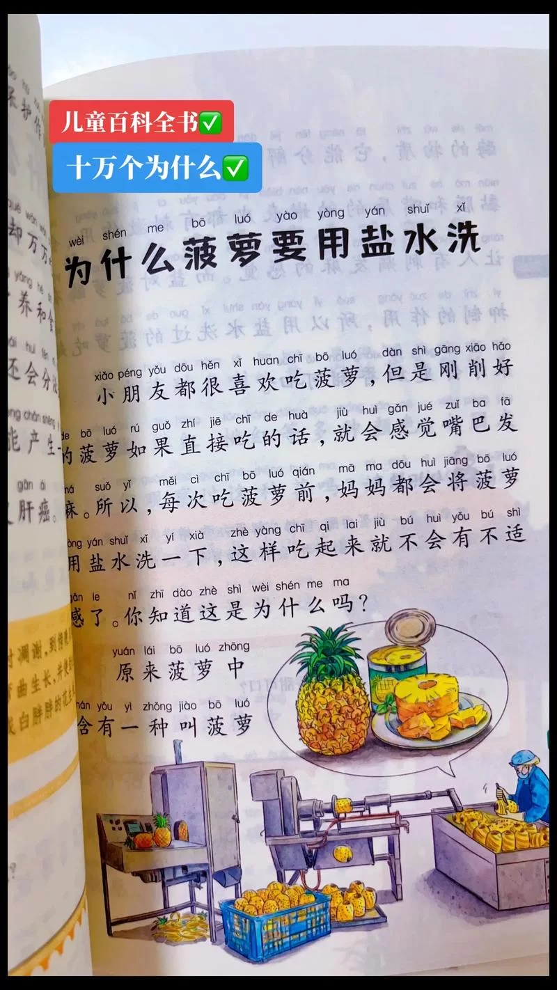 问题小孩歌词完整版：好奇宝宝的十万个为什么