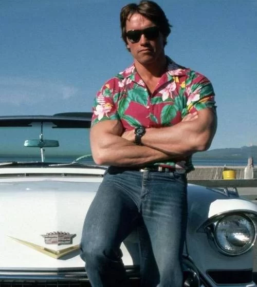 间接伤害：施瓦辛格的硬汉动作片，带你感受另类刺激