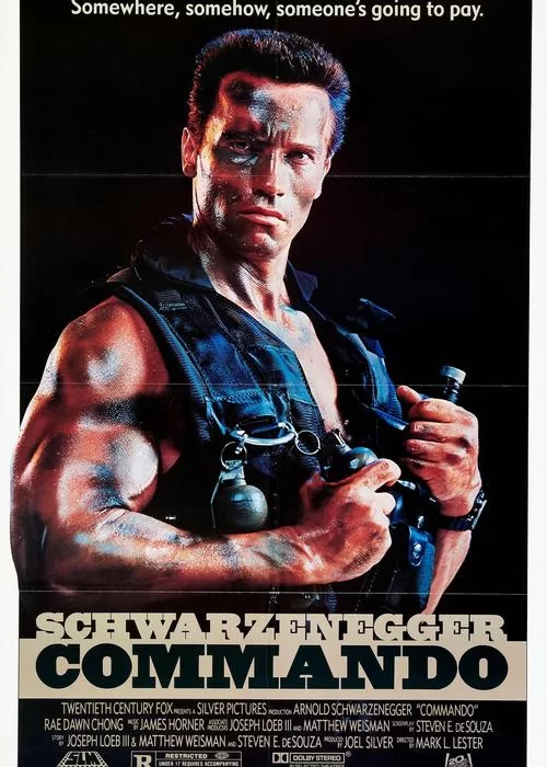 间接伤害：施瓦辛格的硬汉动作片，带你感受另类刺激