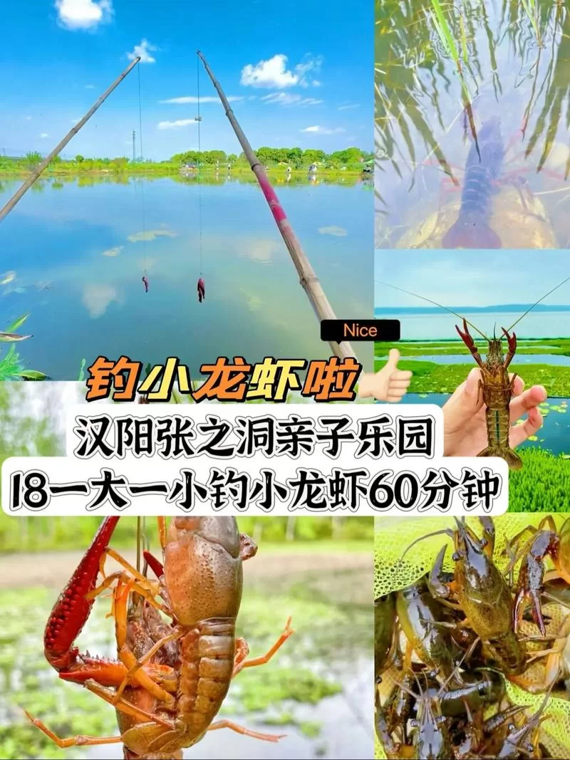 附近哪里有钓小龙虾的地方？周末带娃去钓虾玩！
