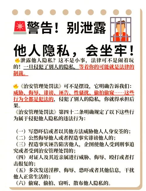 限制级网站的法律风险及个人隐私保护