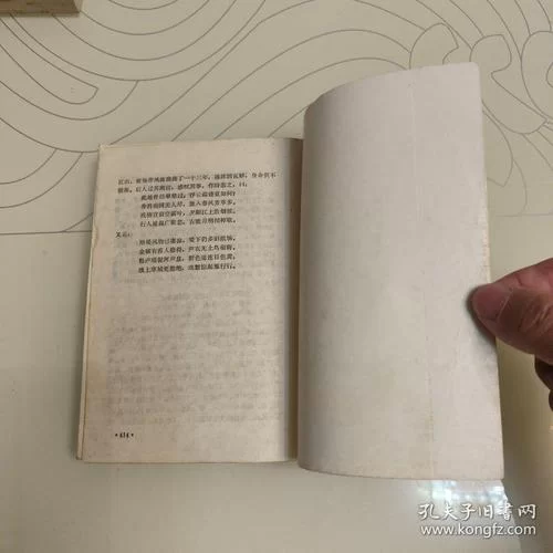 隋炀帝艳史秘闻：那些不为人知的宫廷秘辛