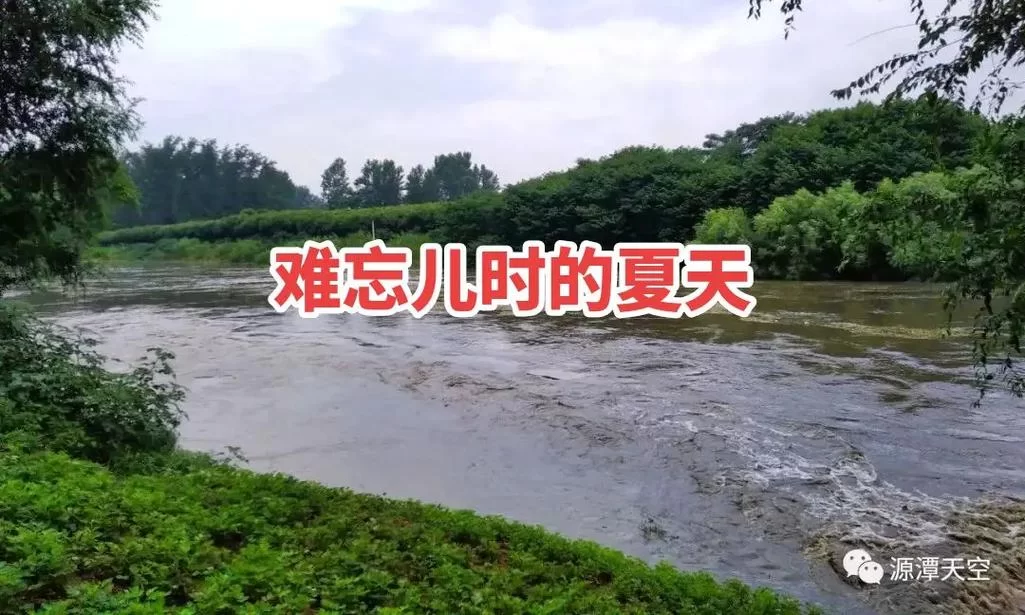 难忘的summer day，回忆里的夏日时光