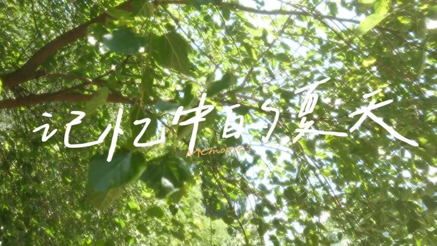 难忘的summer day，回忆里的夏日时光