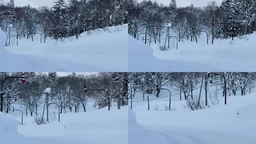 雪堆奇观：探秘令人惊叹的Snowdrift