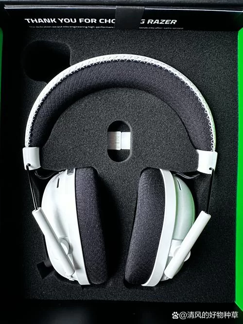 雷蛇加速器好用吗?深度体验告诉你答案 雷蛇加速器好用吗?深度体验告诉你答案