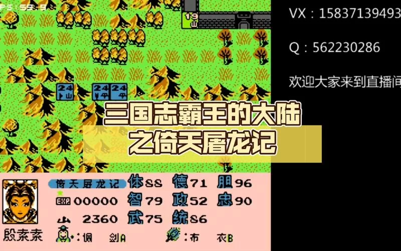 霸王大陆2：组建你的军队，征战沙场，成就霸业！