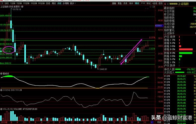 青岛双星股吧热议：公司公告解读及未来走势预测