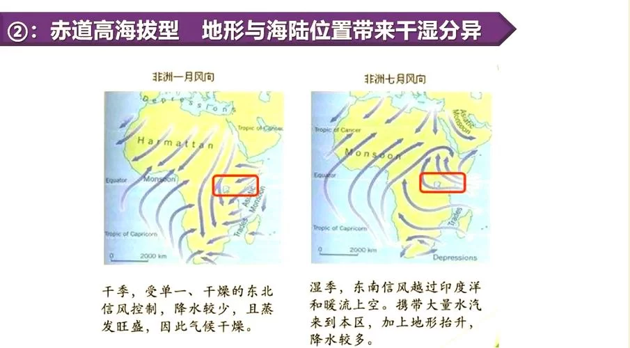 非洲最常见的气候类型是哪个？带你了解热带草原