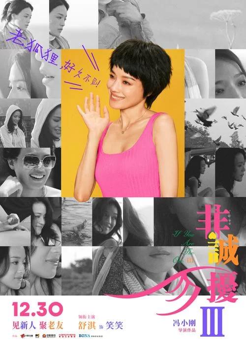 非诚勿扰节目下载，手机电脑都能看