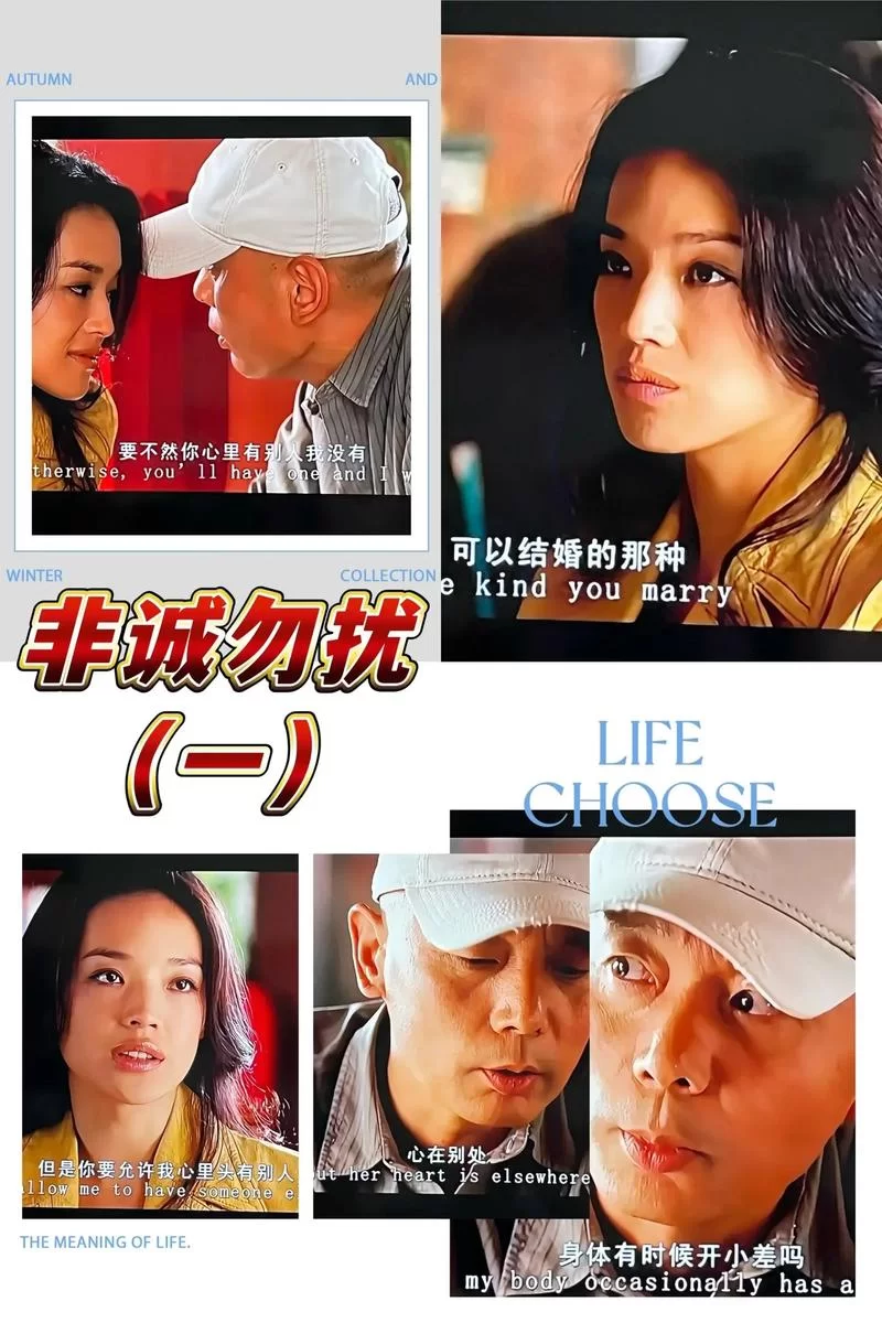 非诚勿扰节目下载，手机电脑都能看