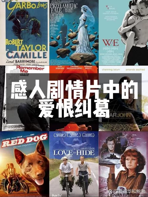 风流寡妇村：她们的爱情与命运纠葛