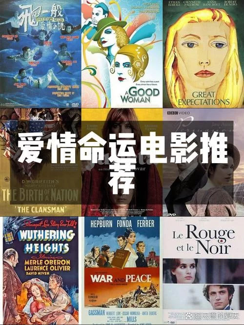 风流寡妇村：她们的爱情与命运纠葛