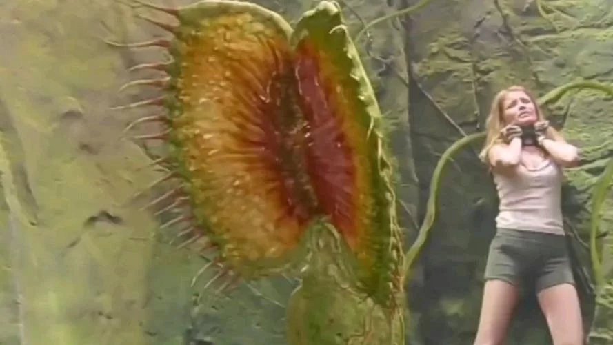 食人花真的吃人吗？深度解析大王花的真实面目