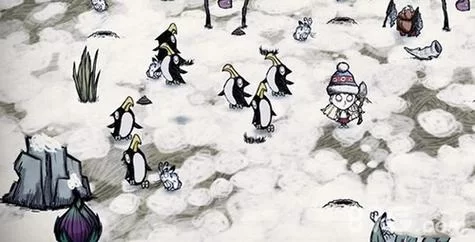 饥荒企鹅有什么用处？从食物到材料的全面解析