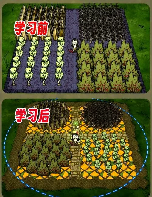 饥荒怎么存档？三种存档方法轻松学会