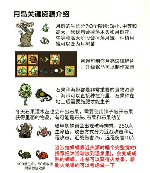 饥荒游戏中石果的妙用：你不知道的隐藏技巧
