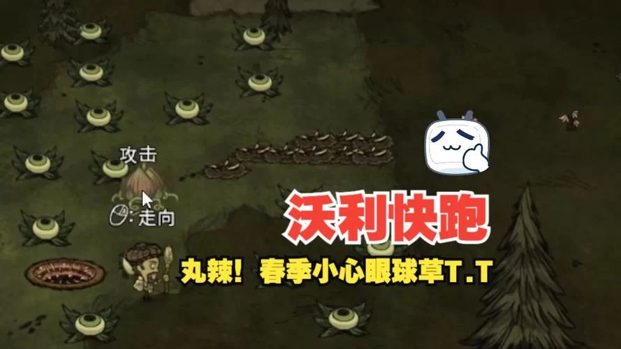 饥荒游戏指南：眼球草的攻击机制及实用技巧
