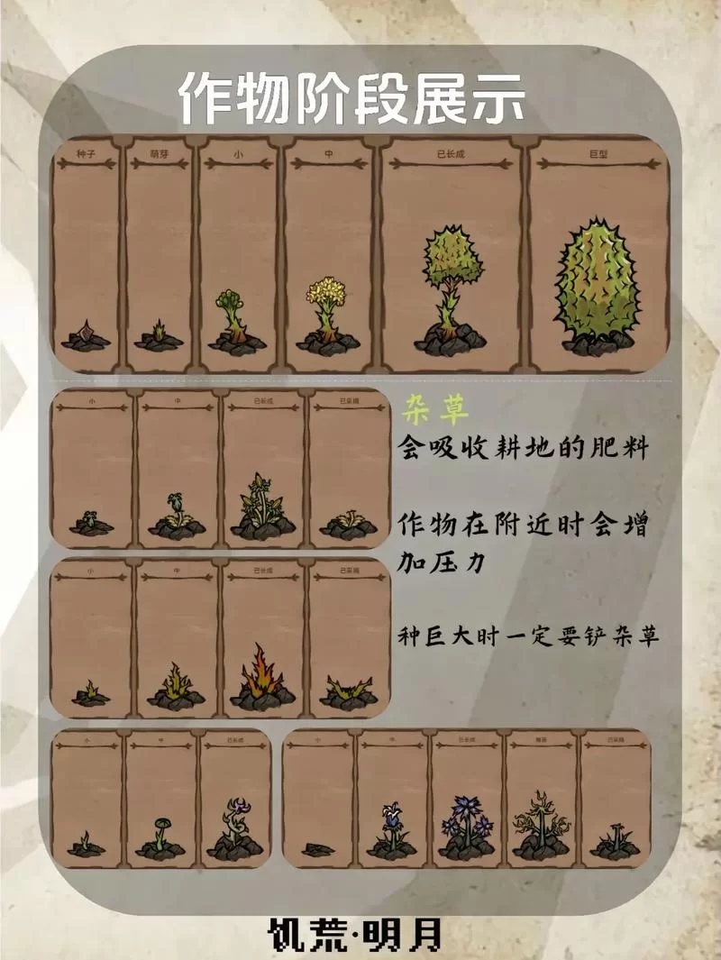 饥荒生存指南：不同种子特性及最佳种植方案