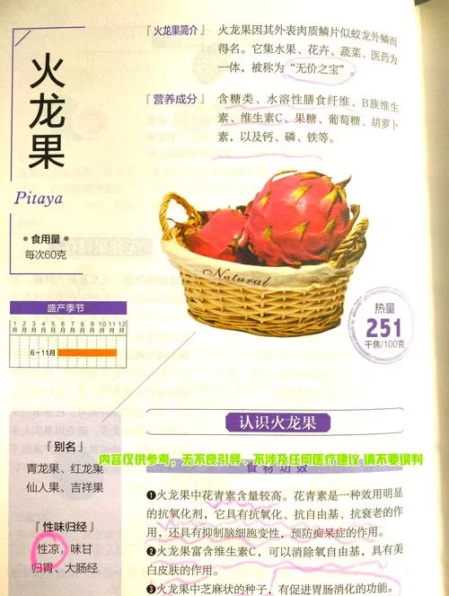 饥荒生存指南：火龙果的最佳利用方法与食谱推荐