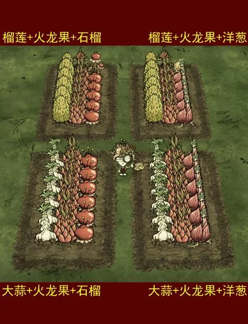 饥荒种地技巧大全：轻松应对各种季节