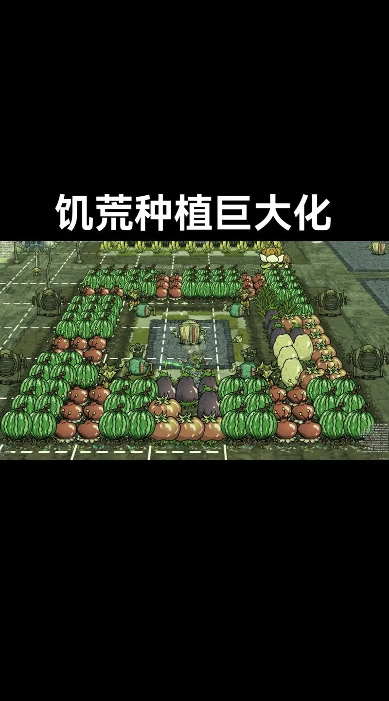 饥荒种地技巧大全：轻松应对各种季节
