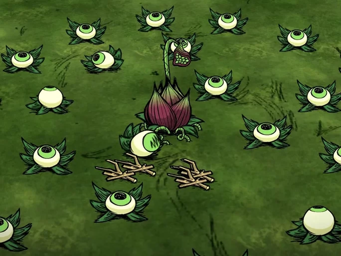 饥荒食人花有什么用？用途详解及游戏技巧