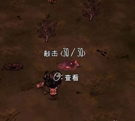 饥荒鼹鼠帽属性及作用：带你体验独特游戏乐趣