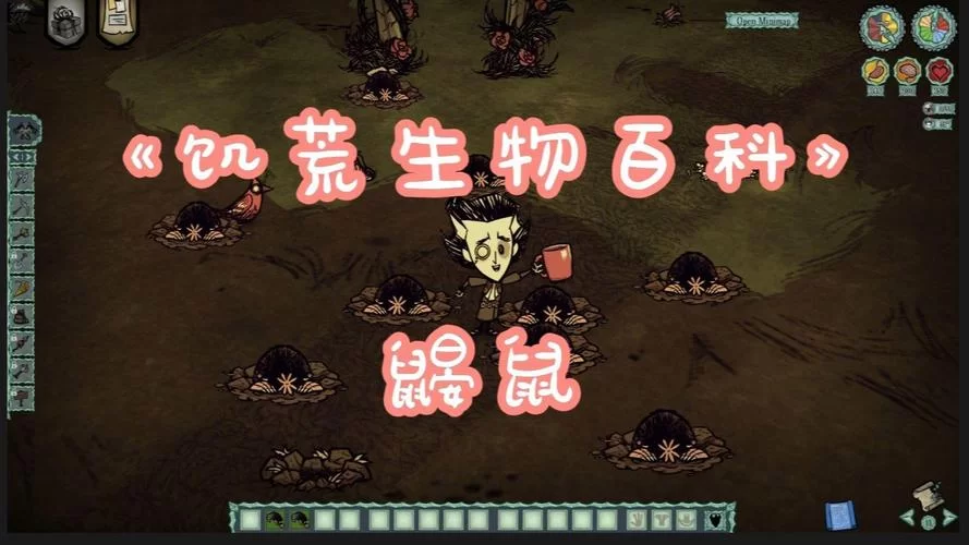 饥荒鼹鼠帽属性及作用：带你体验独特游戏乐趣