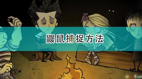 饥荒鼹鼠帽属性及作用：带你体验独特游戏乐趣