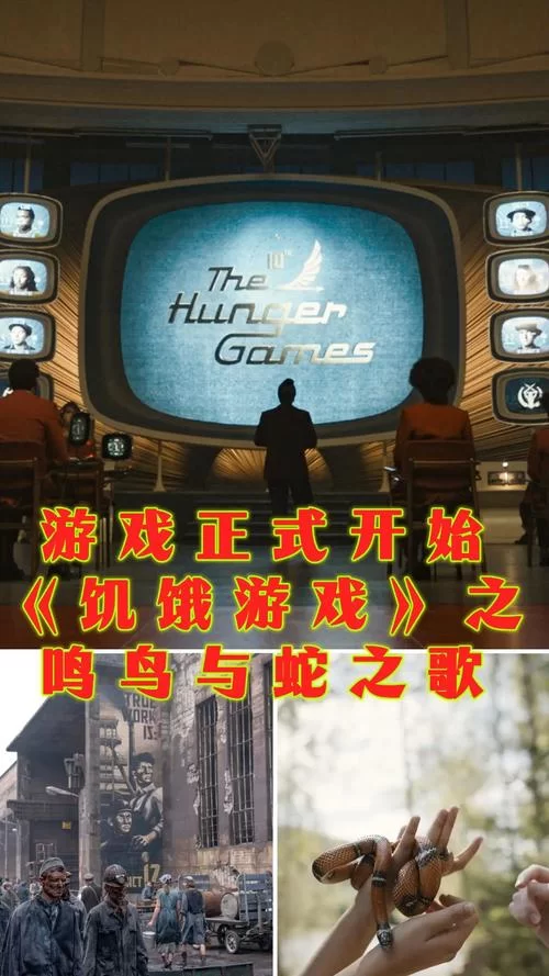 饥饿游戏音乐：盘点那些动听的歌曲