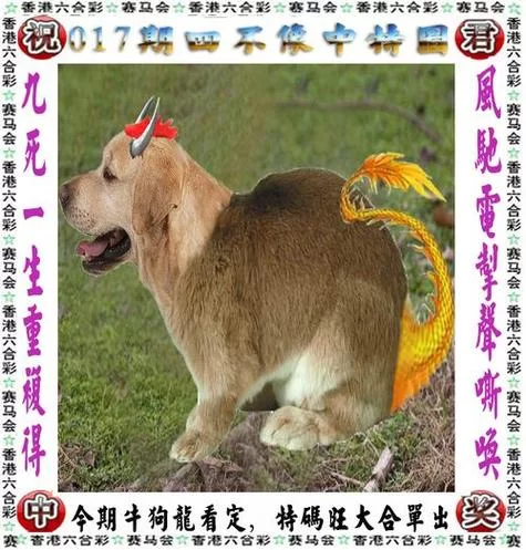 香港白小香港白小相资料生肖：揭秘生肖运势与人生玄机