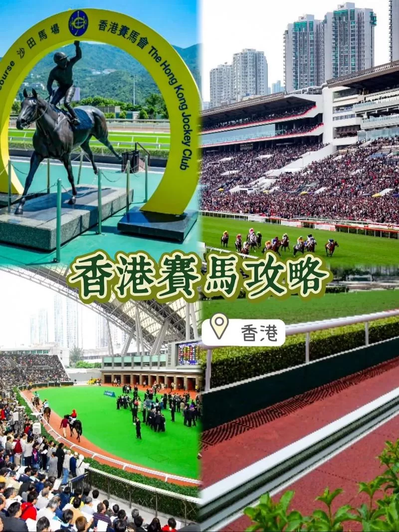 香港赛马赛后派彩结果查询：今晚开奖号码公布