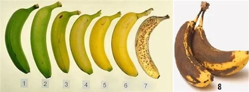 香蕉三级硬度是什么样的？勃起功能障碍自测