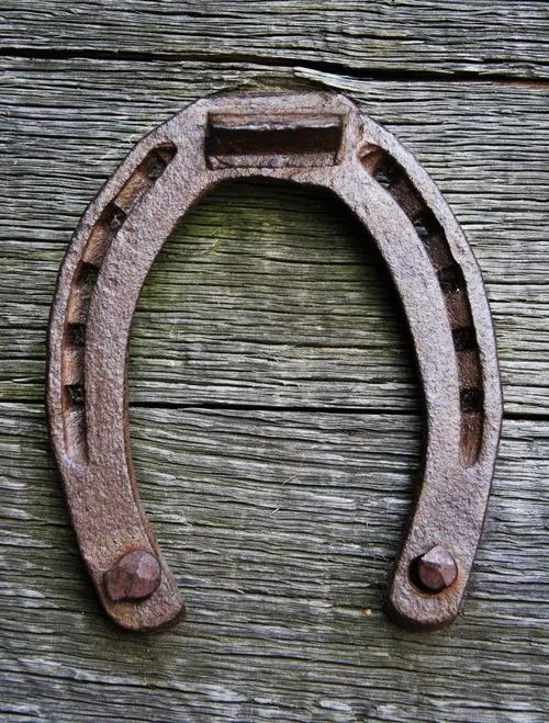 马蹄铁的常见颜色有哪些?不同颜色马蹄铁的寓意 马蹄铁的常见颜色有哪些?不同颜色马蹄铁的寓意