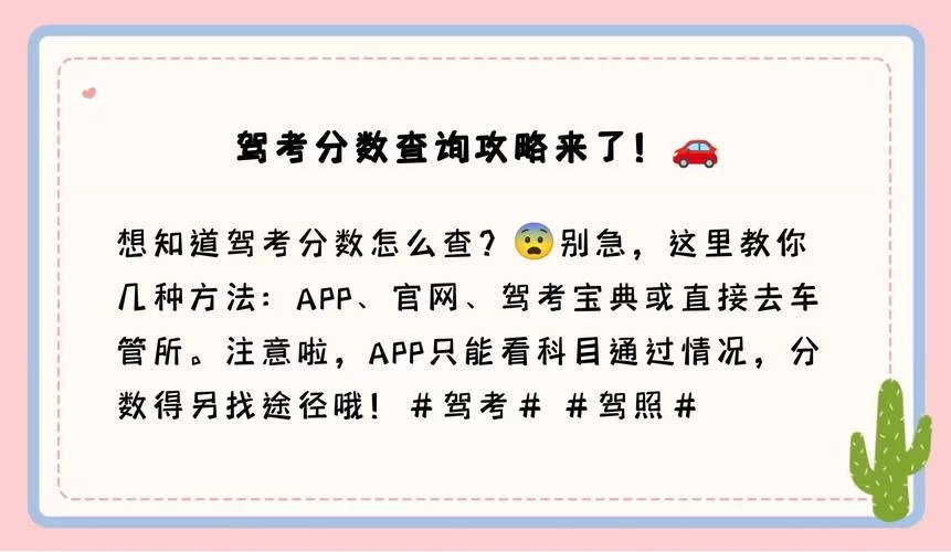 驾考成绩查询12123：最便捷的查询方法都在这里