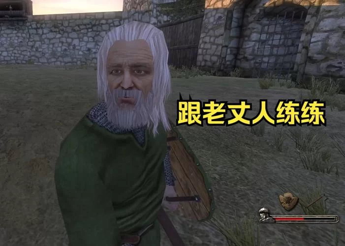 骑马与砍杀订婚舞会：多人结婚的秘密玩法