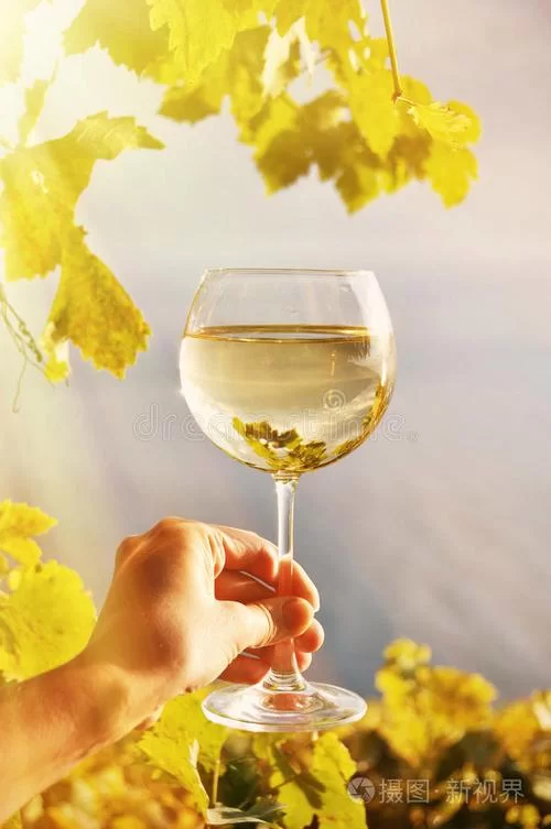 高品质手拿酒杯图片:适用于各种场景 高品质手拿酒杯图片:适用于各种场景