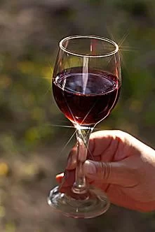 高品质手拿酒杯图片：适用于各种场景