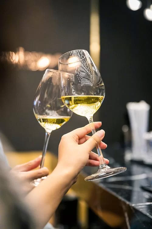 高品质手拿酒杯图片:适用于各种场景 高品质手拿酒杯图片:适用于各种场景