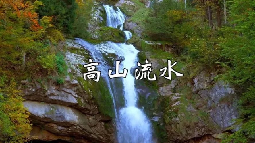 高山流水是什么？几种不同玩法大揭秘