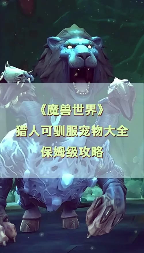 魔兽世界怀旧服猎人宝宝推荐：不同等级阶段宠物选择