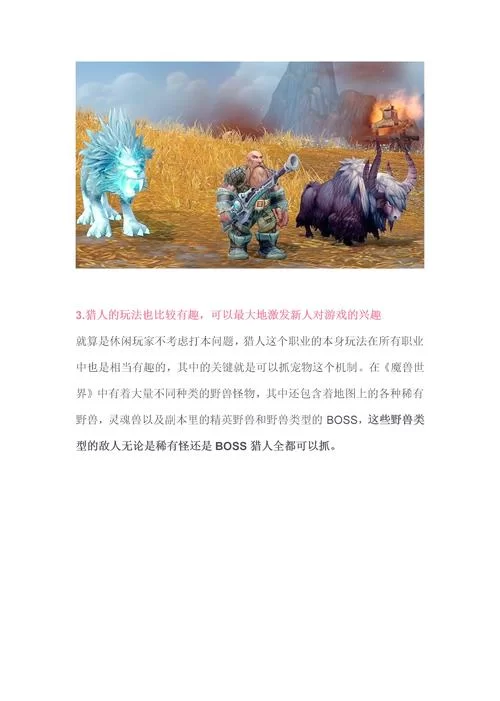 魔兽世界职业选择指南：哪个职业最适合你？