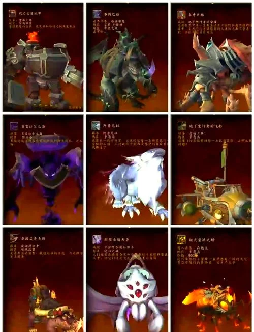 魔兽世界黑市：稀有坐骑宠物都在这里！