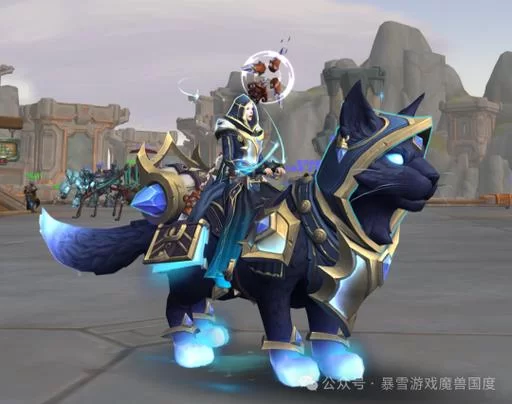 魔兽世界黑纹灰猫值多少钱？最新市场价格分析
