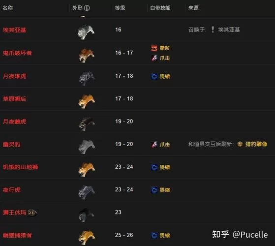 魔兽猎人所有宝宝大全带图：宠物属性技能一览及搭配建议