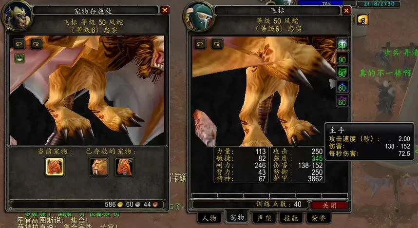魔兽猎人所有宝宝大全带图：宠物属性技能一览及搭配建议