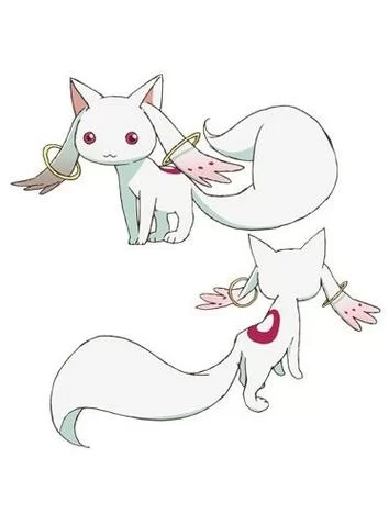魔法少女小圆丘比：成为魔法少女的真正代价