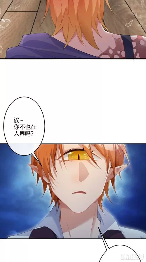 魔王的轮舞曲：剧情详解及角色分析，带你深入了解游戏世界